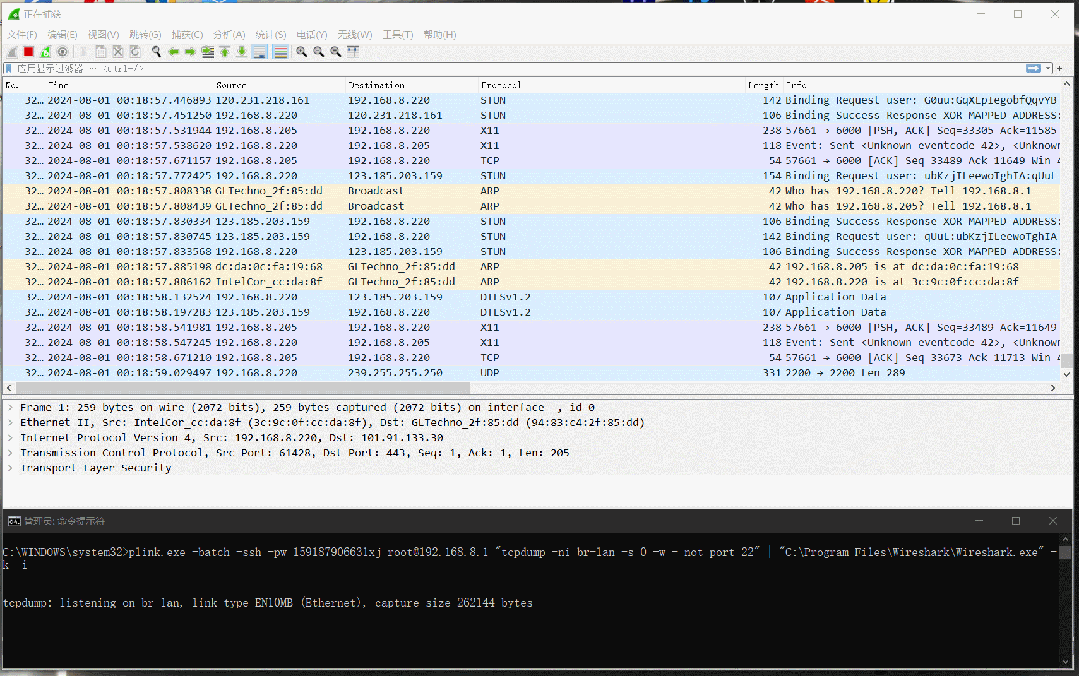  wireshark 