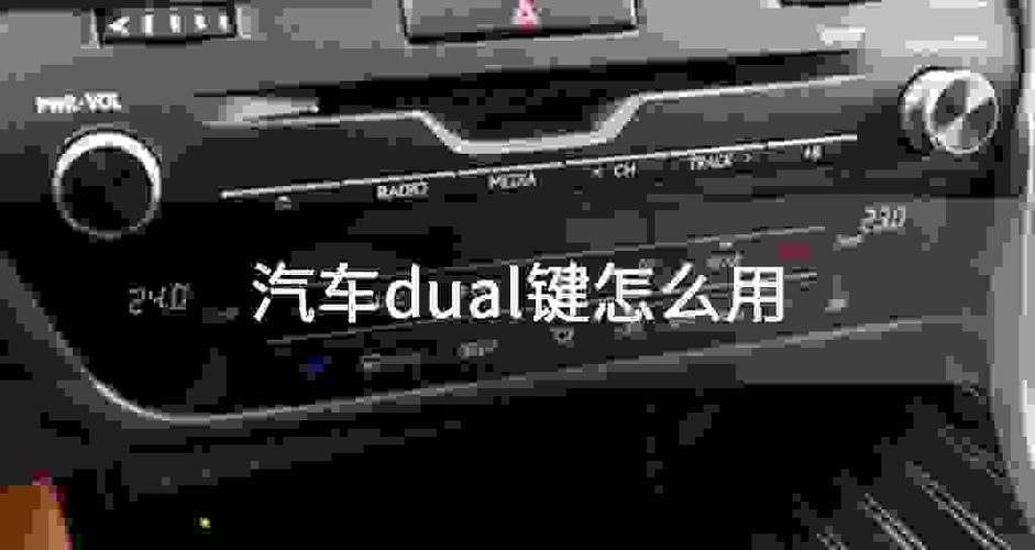 dual是什么意思车上的图片