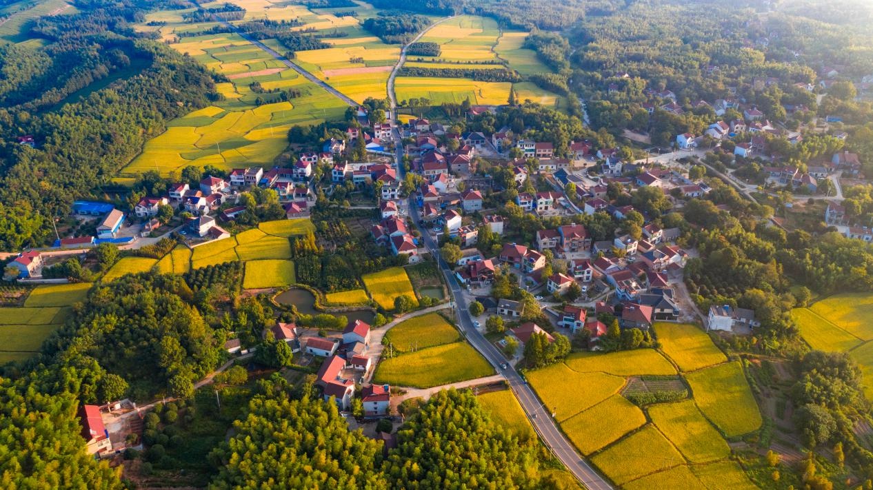 安徽省广德市:依村施策打造乡村振兴示范区