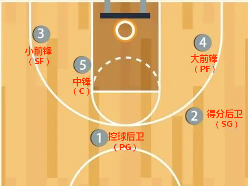 篮球场上的五个位置图片