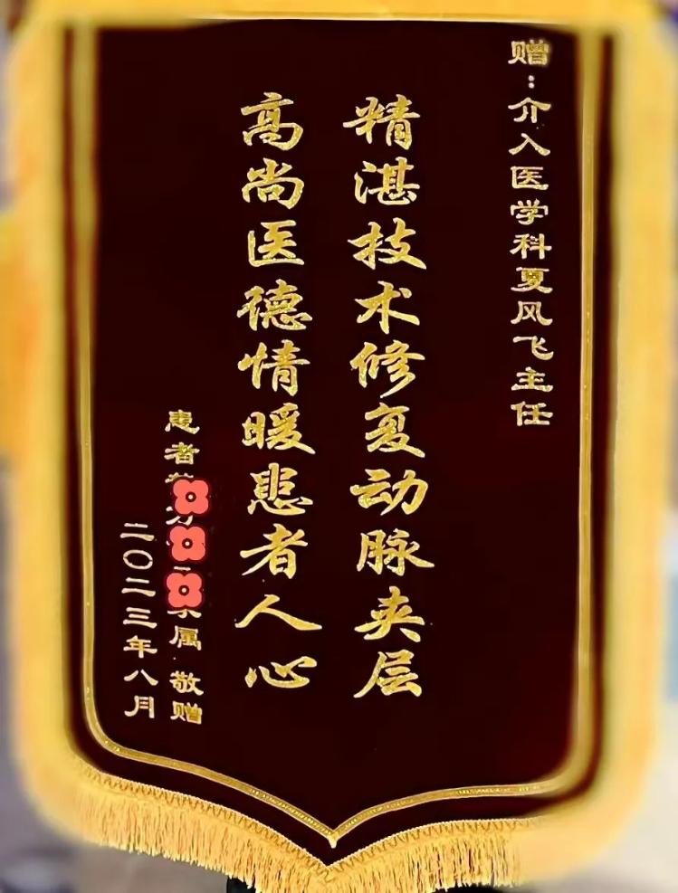 滨州市人民医院介入医学科团队应用castor分支支架成功救治一例胸主动
