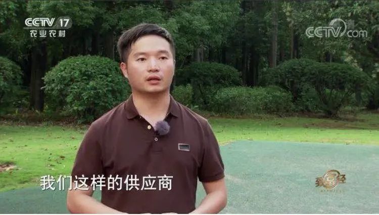 致富经央视网2011(致富经20200629)