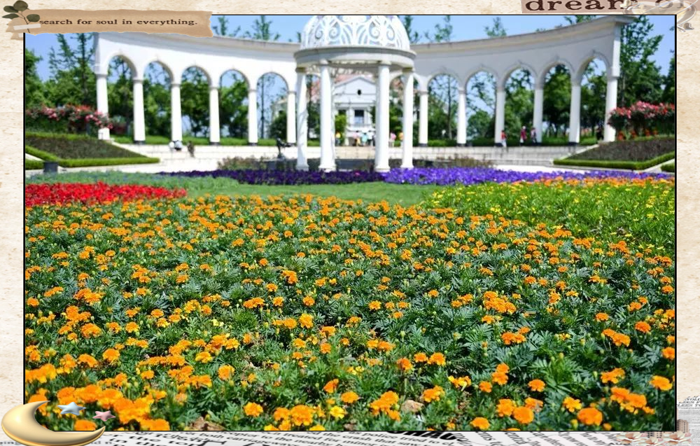 滁州花博园开园:新添市民赏花休闲佳地