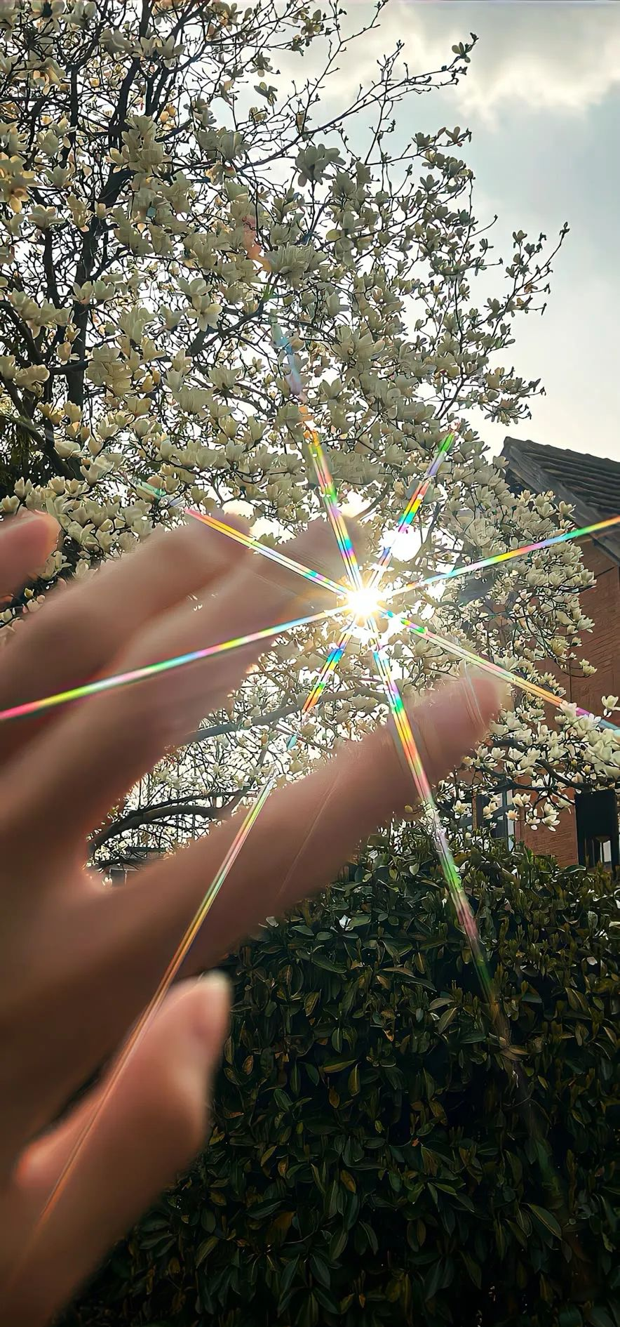 温暖治愈系壁纸,留存心灵的温馨印记