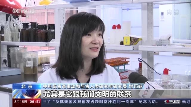 奋斗者·正青春丨付巧妹:坚守热爱 破译古代人类基因密码