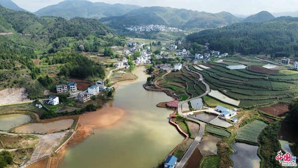 双井镇:"芋米之乡·田园翁西"唱响乡村振兴品牌歌