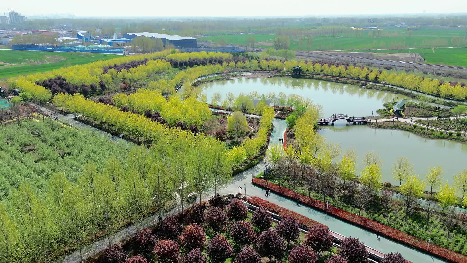 刘大成走进济宁市任城区安居四季牡丹园推广"学习强国"学习平台