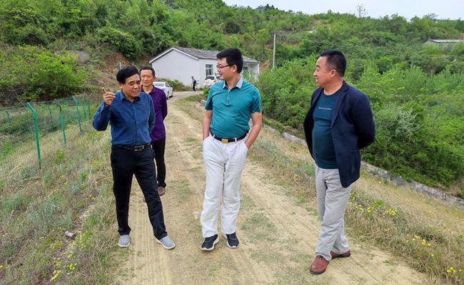 谢冠林调研防汛工作