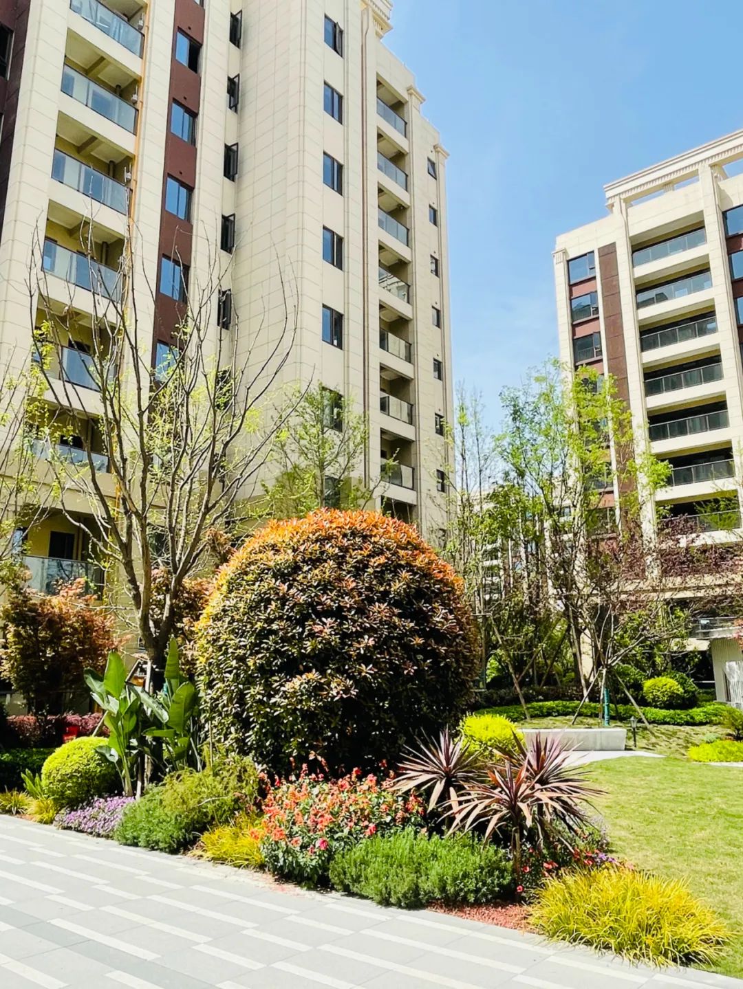 隆腾锦天府一期将于4月24日提前交房