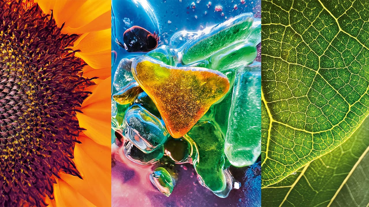 苹果官方公布10 张iphone 微距摄影挑战赛得奖作品