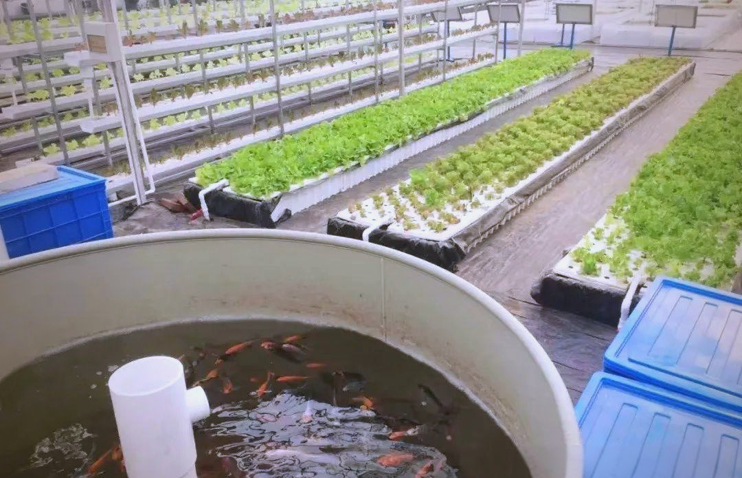 探索多种生态农场建设模式