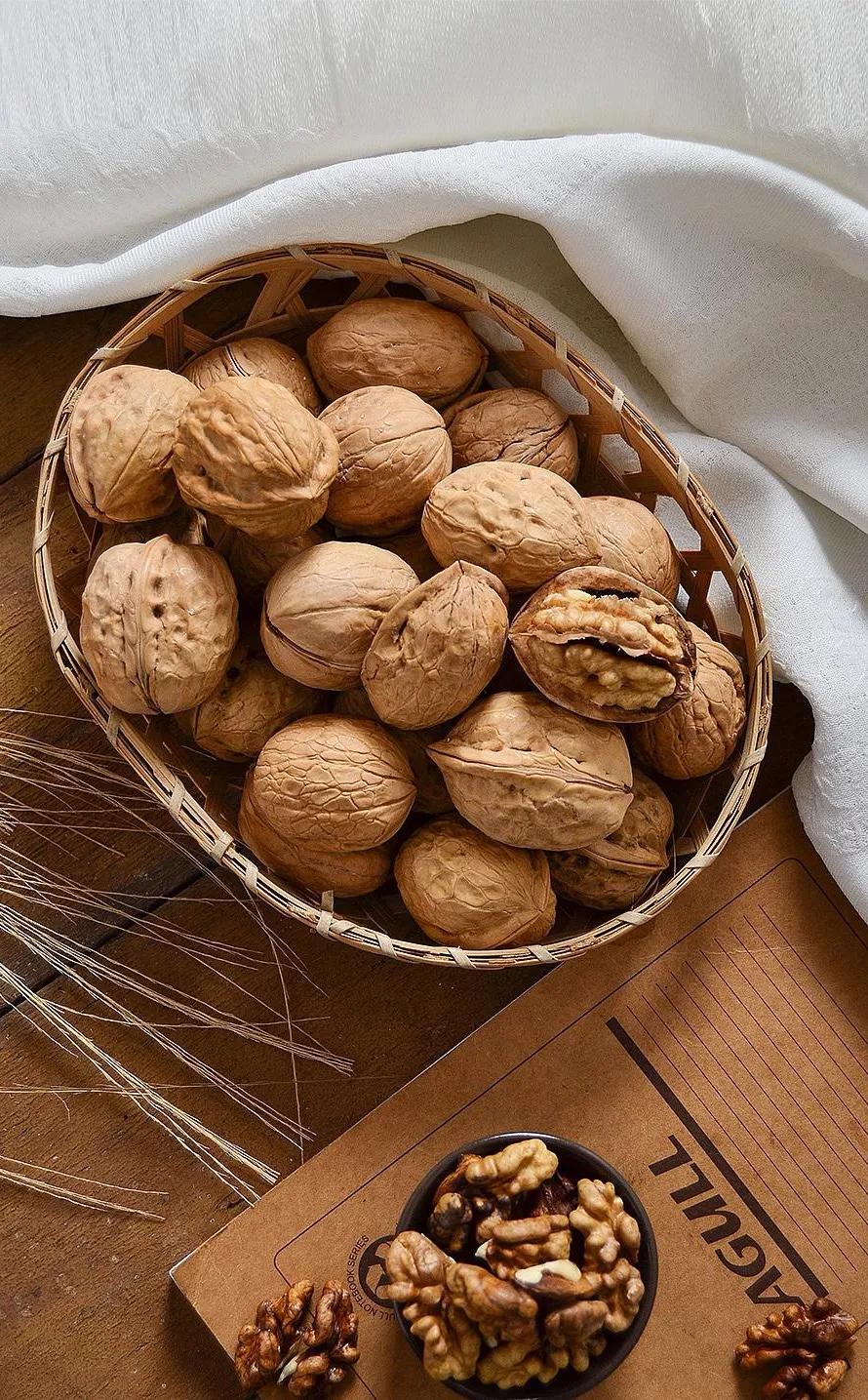 坚果类壁纸,愿你坚强果敢,有着坚硬的外壳,美好的内在