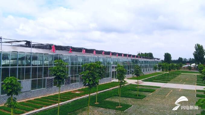 潍坊昌乐庵上湖村"以村带片"助力共同富裕 片区收入达到1.5亿元