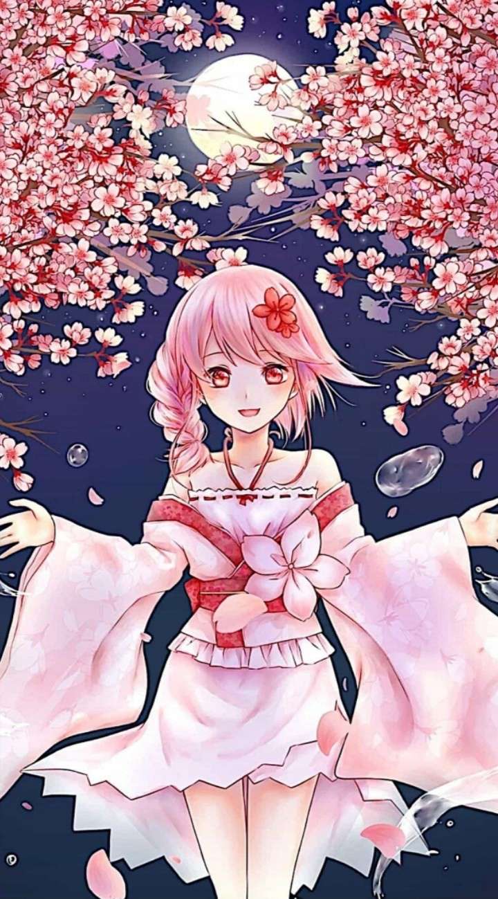 蝶恋花:图片收藏