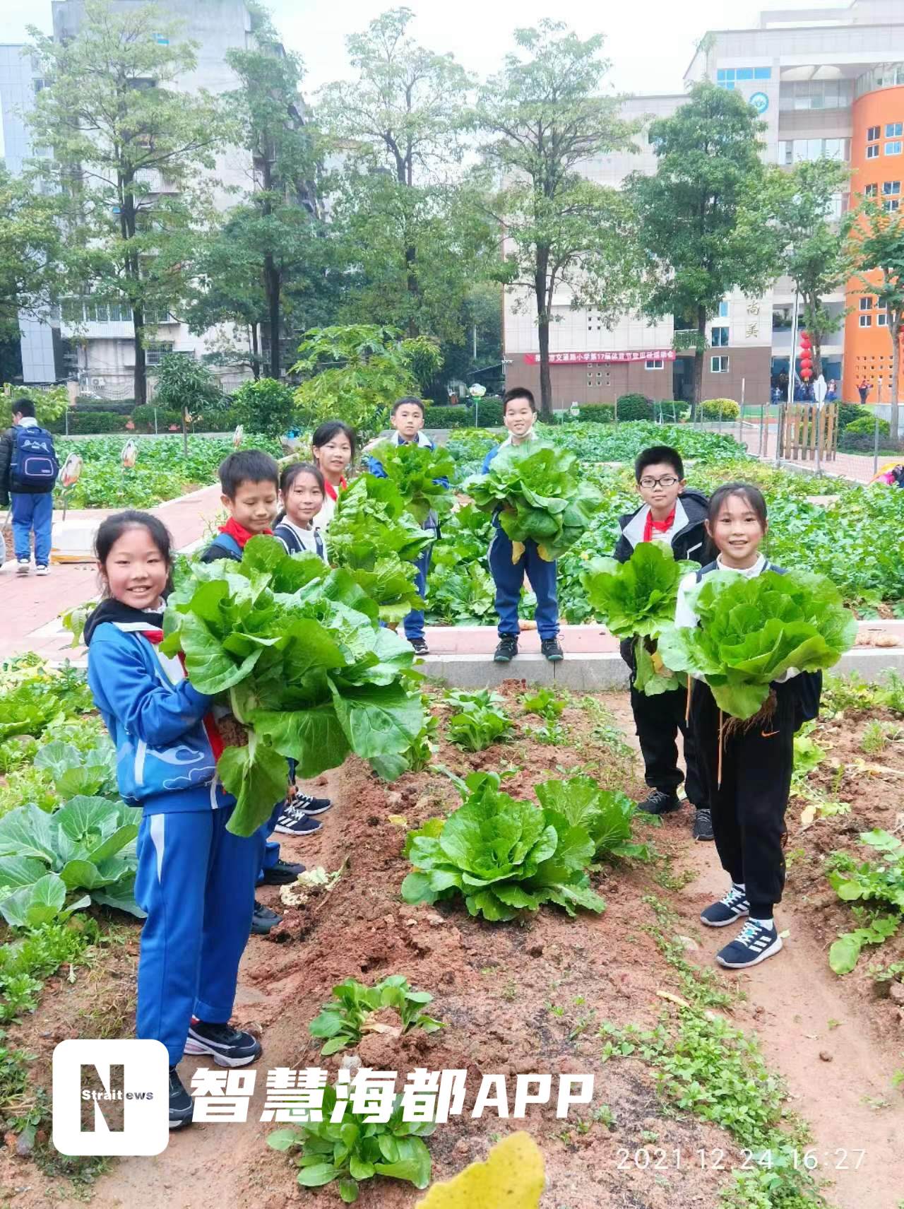 开心农场现实图片