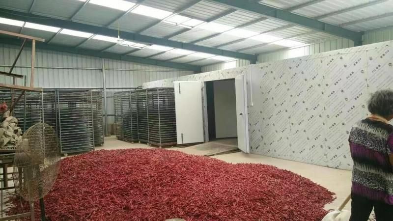 朝天椒烘干机02小米辣烘干设备02网带式朝天椒烘干线