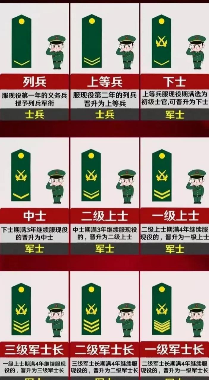 一级军士长也就是我们俗说的兵王,是士官中最高的军衔,享受师级干部