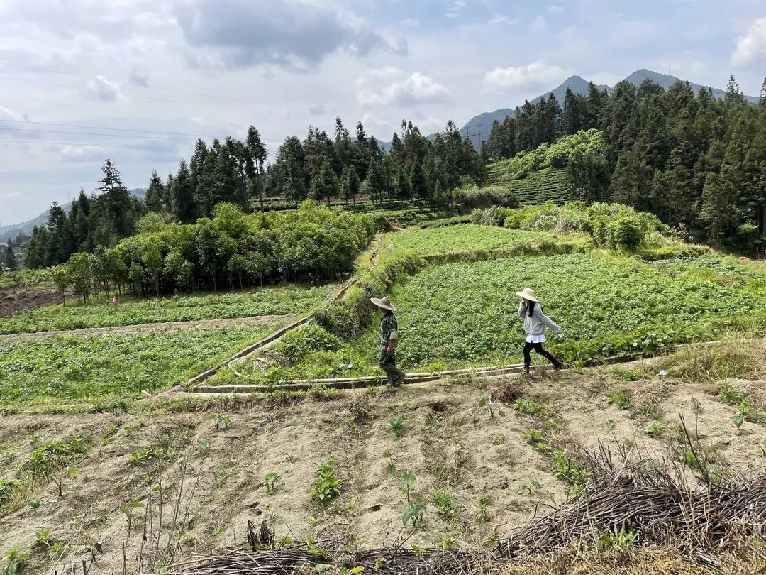 "七步镇徐家山村"安居工程"受助户徐昌福高兴地说.