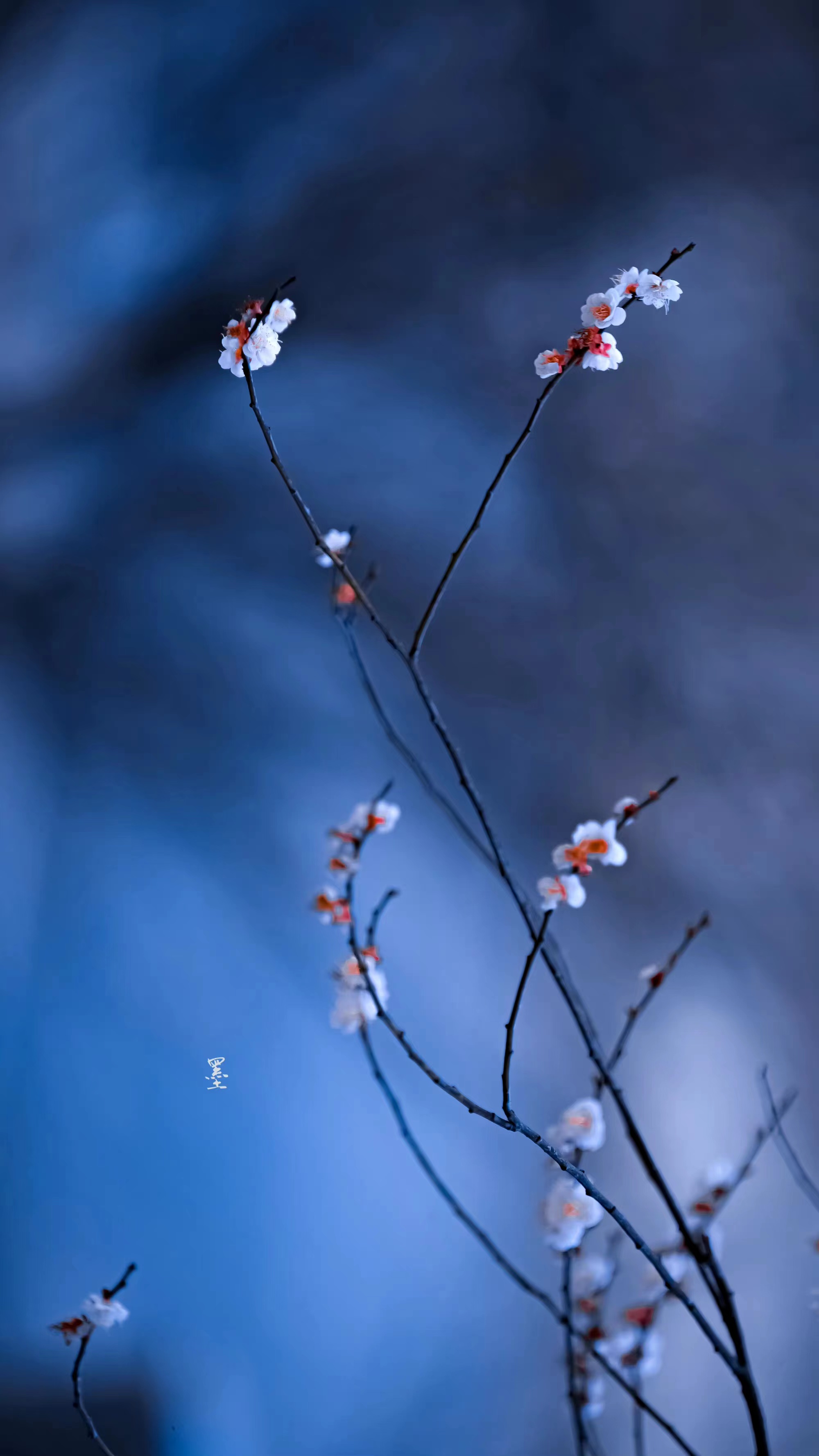 王维最经典的十首山水诗,何以解忧,唯有山水,篇篇唯美至极