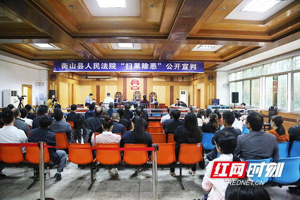 衡山法院公开审理一起涉黑"保护伞"案件