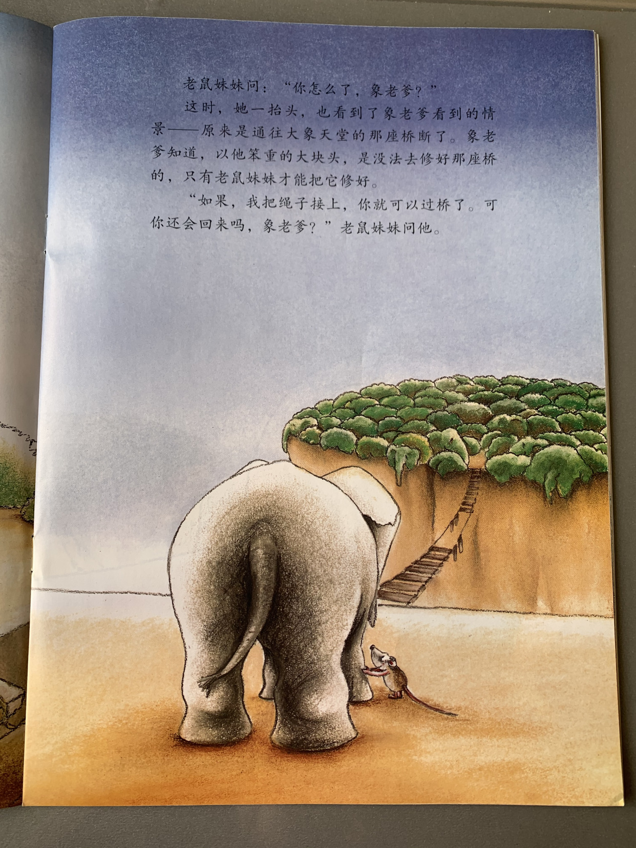 《象老爹》:让孩子懂得尊重生命,学会乐观面对生活