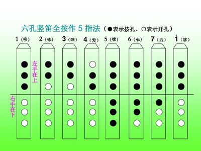 雅马哈竖笛指法图图片