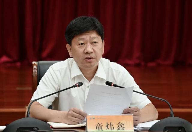 童炜鑫强调 全面提高服务企业能力水平 推动营商环境大提升大优化