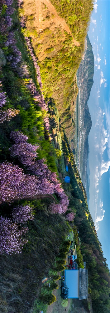 谷城老君山樱花谷图片