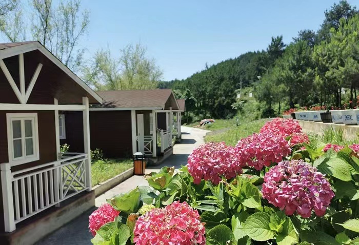 碧江老麻塘村:春花夏荫秋实 农旅一体乡村"靓"