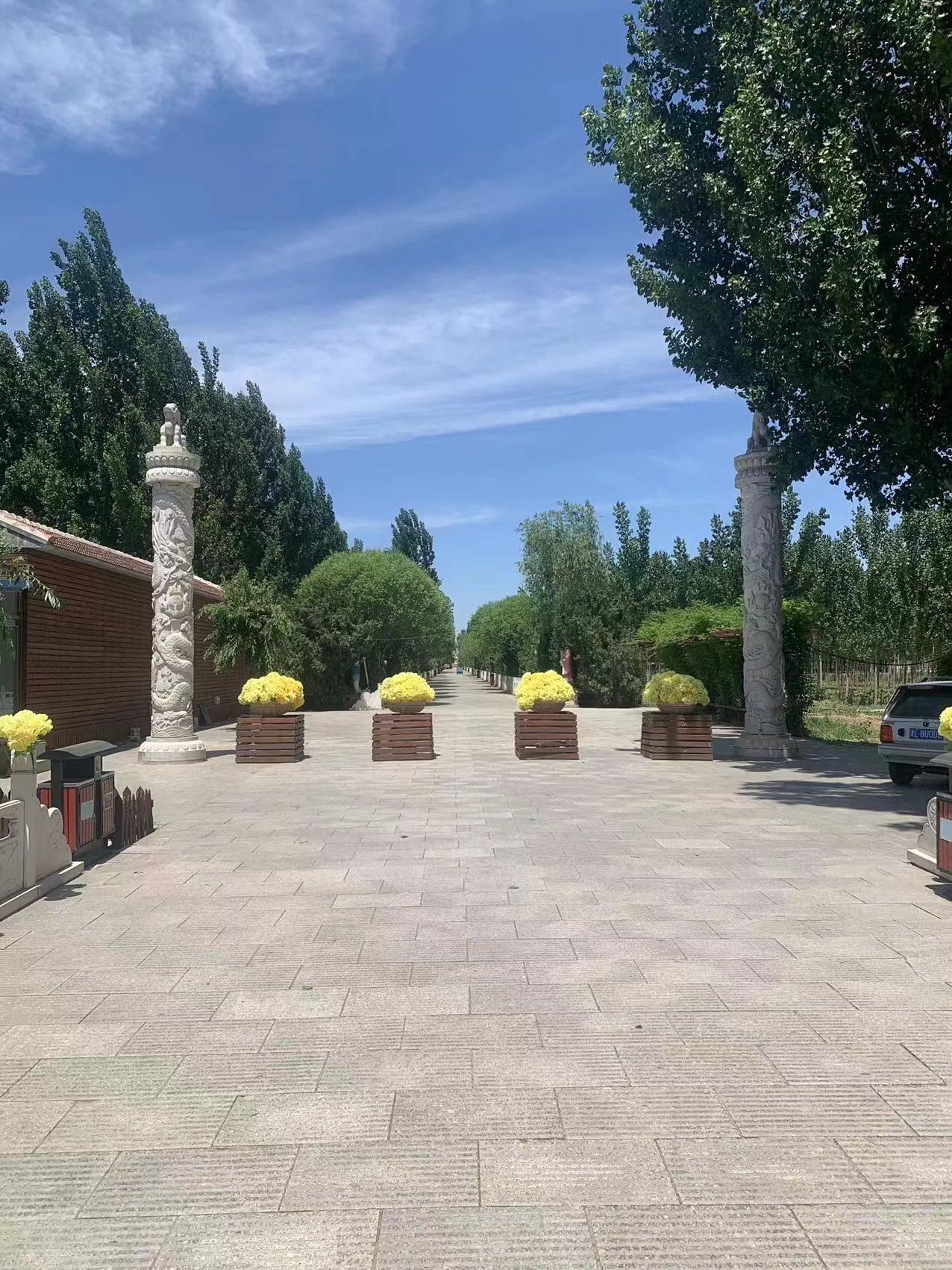 参观王庆坨公墓主要看环境和风水