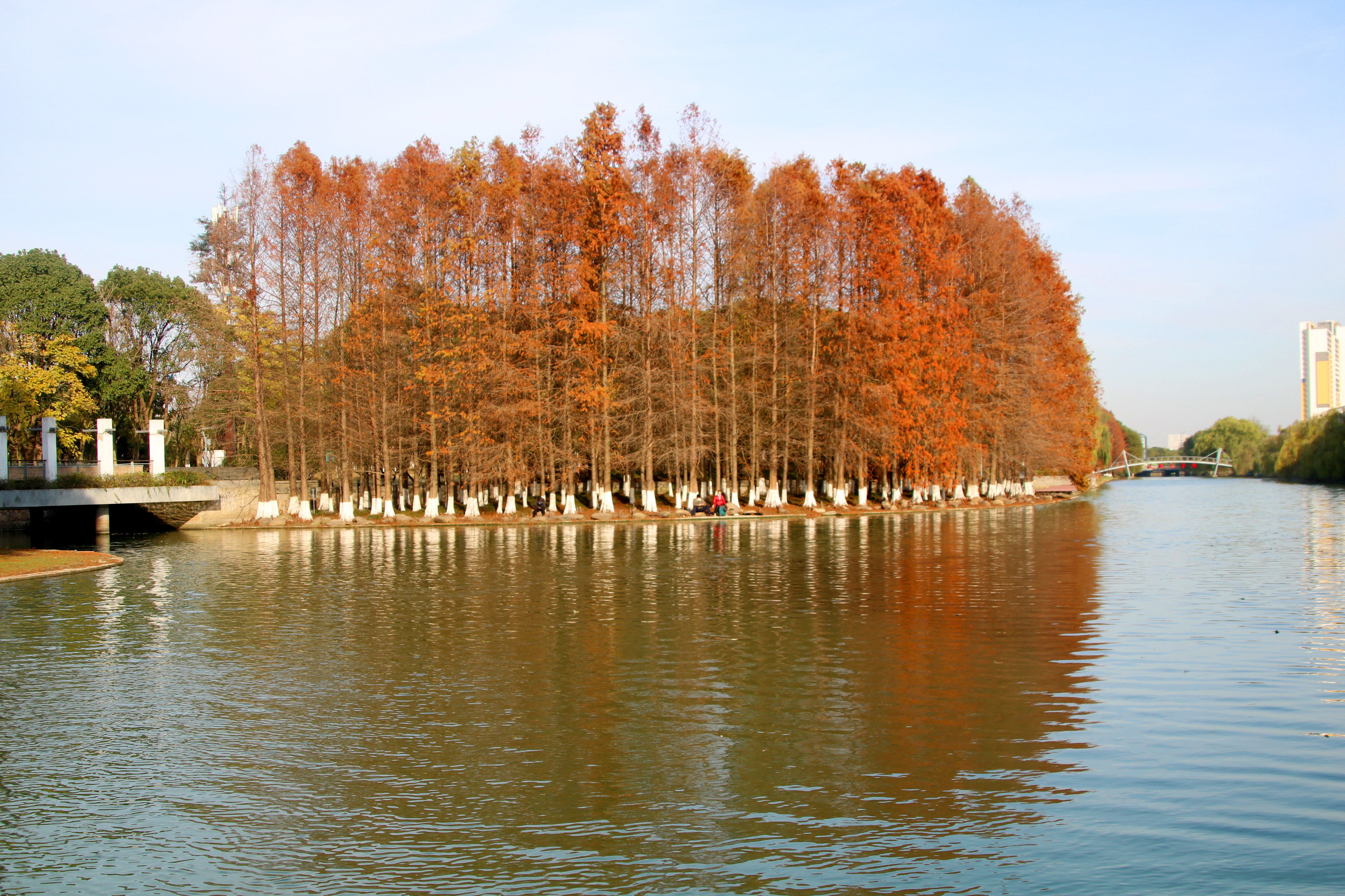 江苏苏州:绿岛生态区景色美