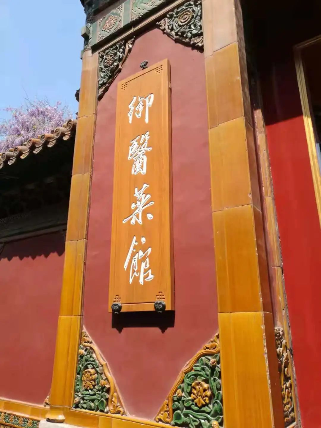 只为皇家看病?太医院的职责可没那么简单