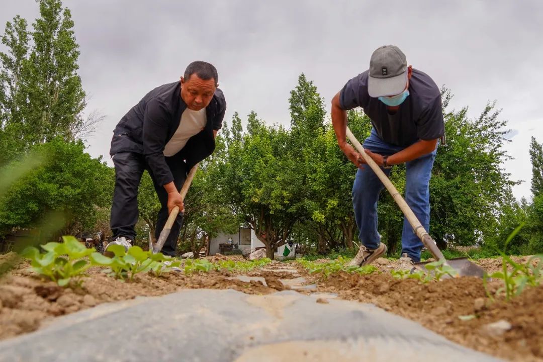 李慧霞,克依木·波苏克入选2024年5月"哈密好人"榜