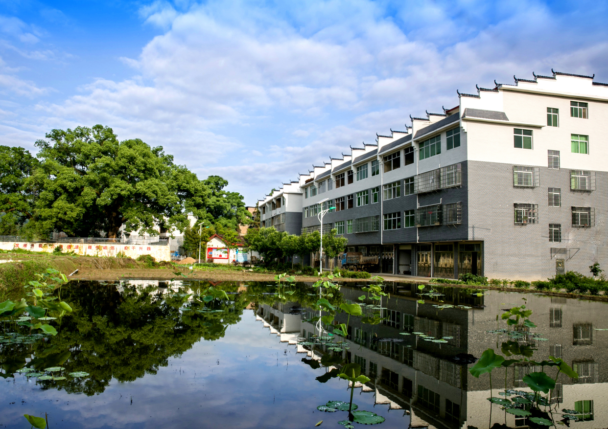 "万绿丛中一点红" 看小松镇如何讲好多元化名镇故事