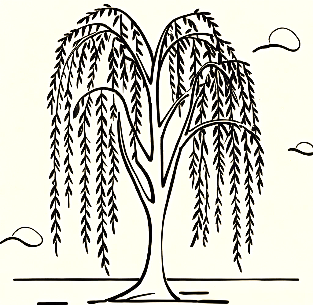 柳树线描的独特技法与技巧