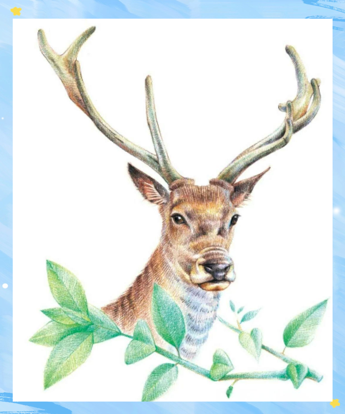 彩铅画驯鹿的详细步骤