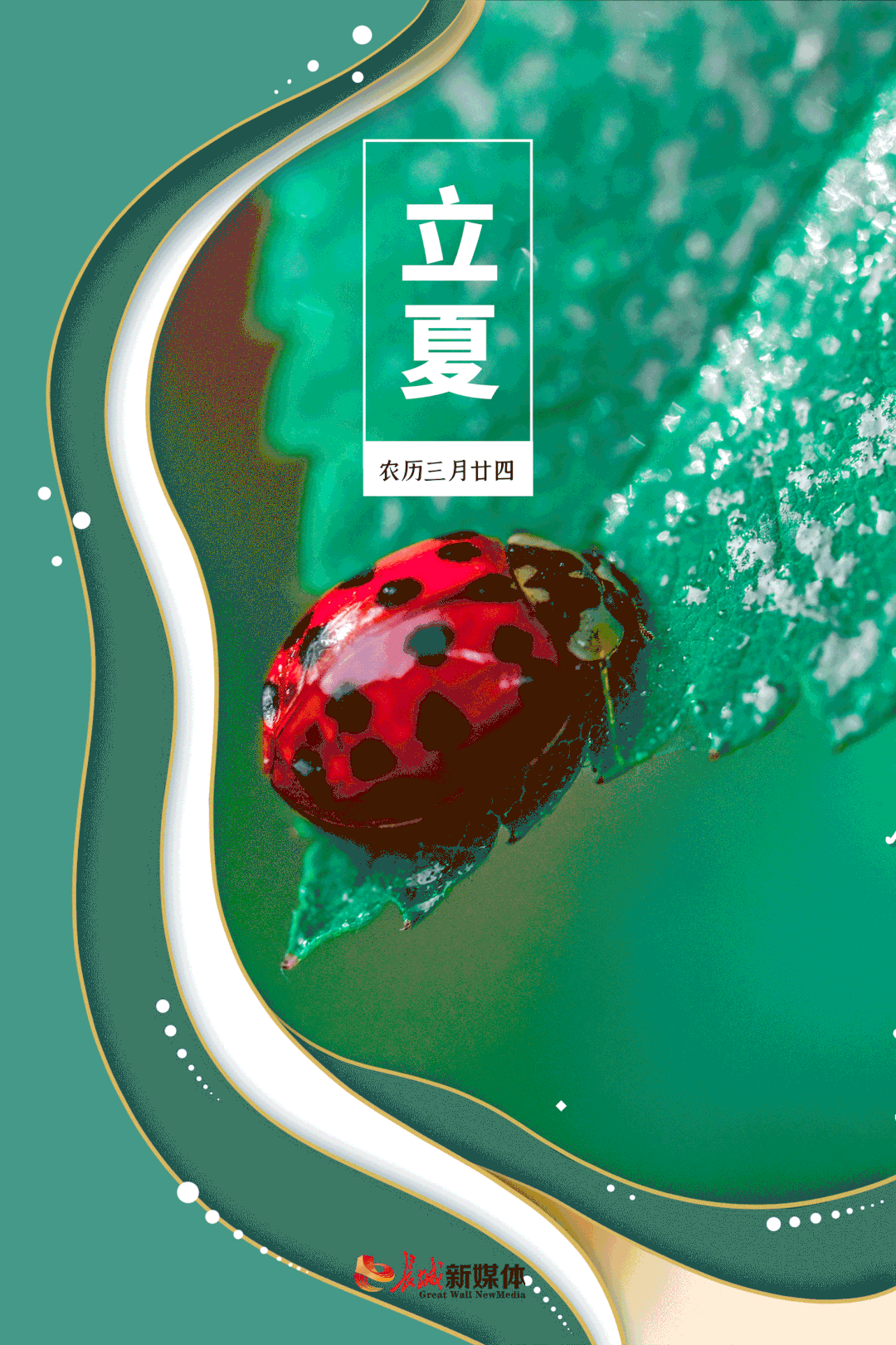 立夏丨春意阑珊处,夏日款款来