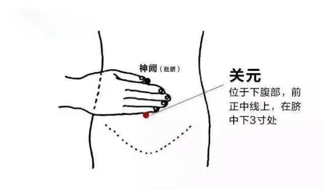 腹四关的准确位置图片图片