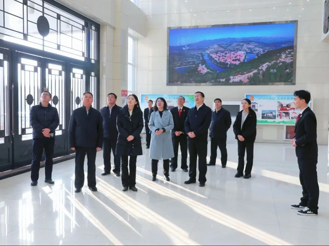 山东高院执行三庭庭长山莹一行到博山法院调研指导工作