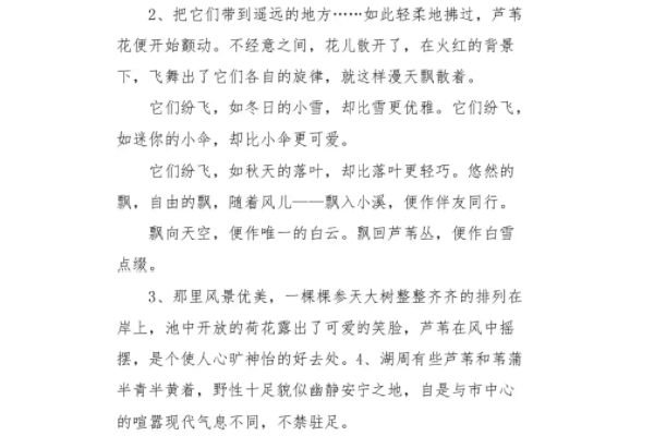 白洋淀纪事好词好句