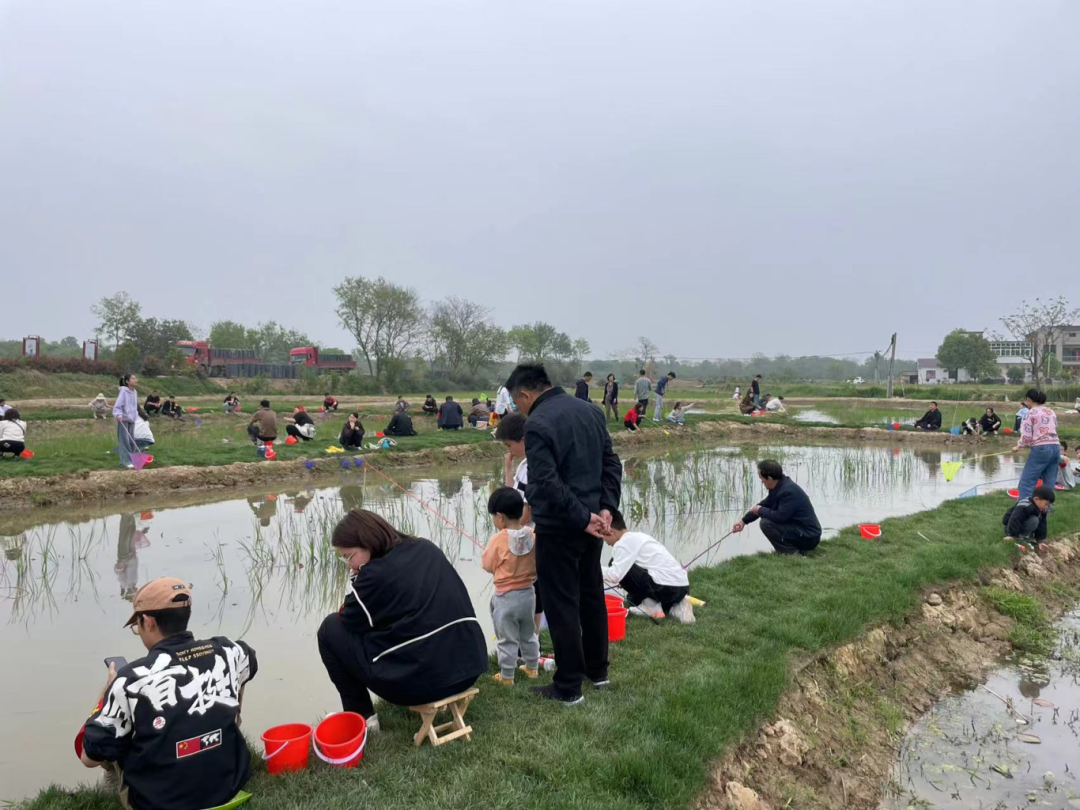 周末可以去这钓虾,攻略速速收藏!