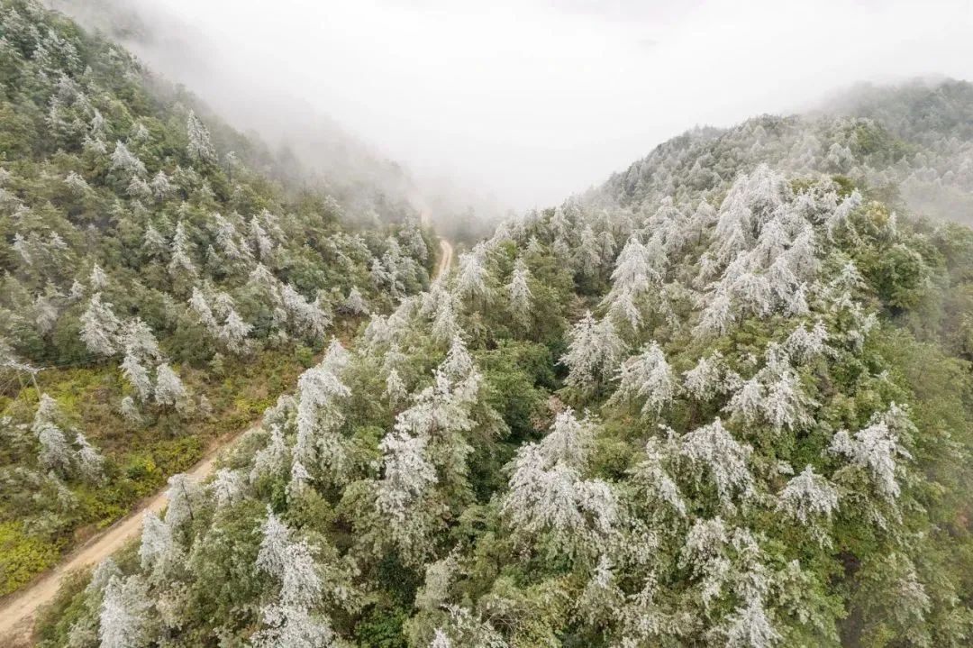 嘶哈福建敢下雪了速來