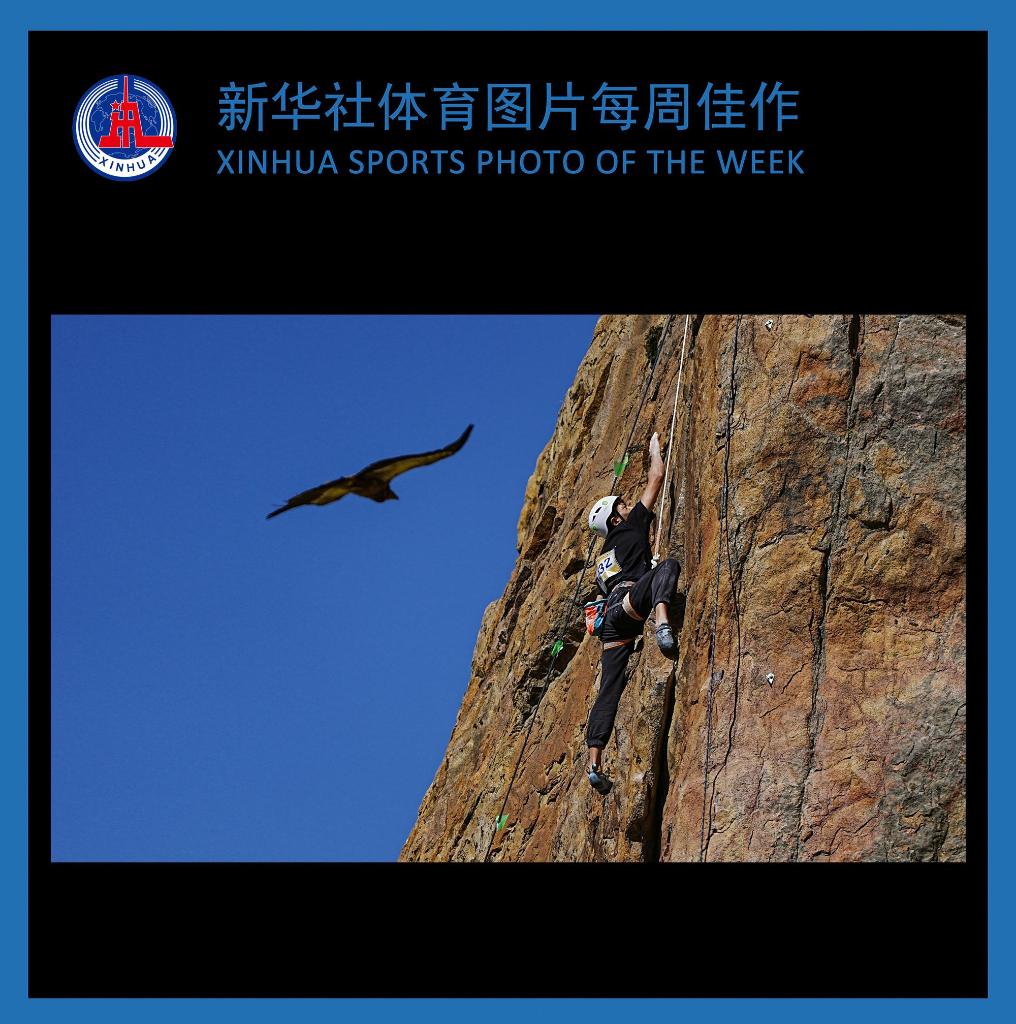 新华社体育图片每周佳作
