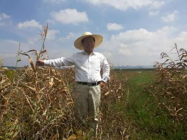 「最美点赞」周少奇:碧水保卫战的守护者