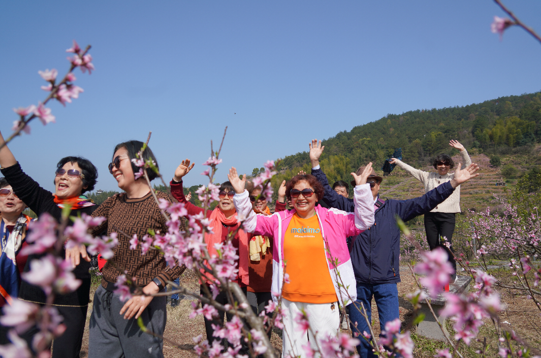 春日限定!浙江桐庐阳山畈千亩"共富桃花"盛开