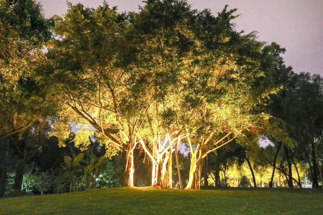 香洲这个公园,荣获一等奖!