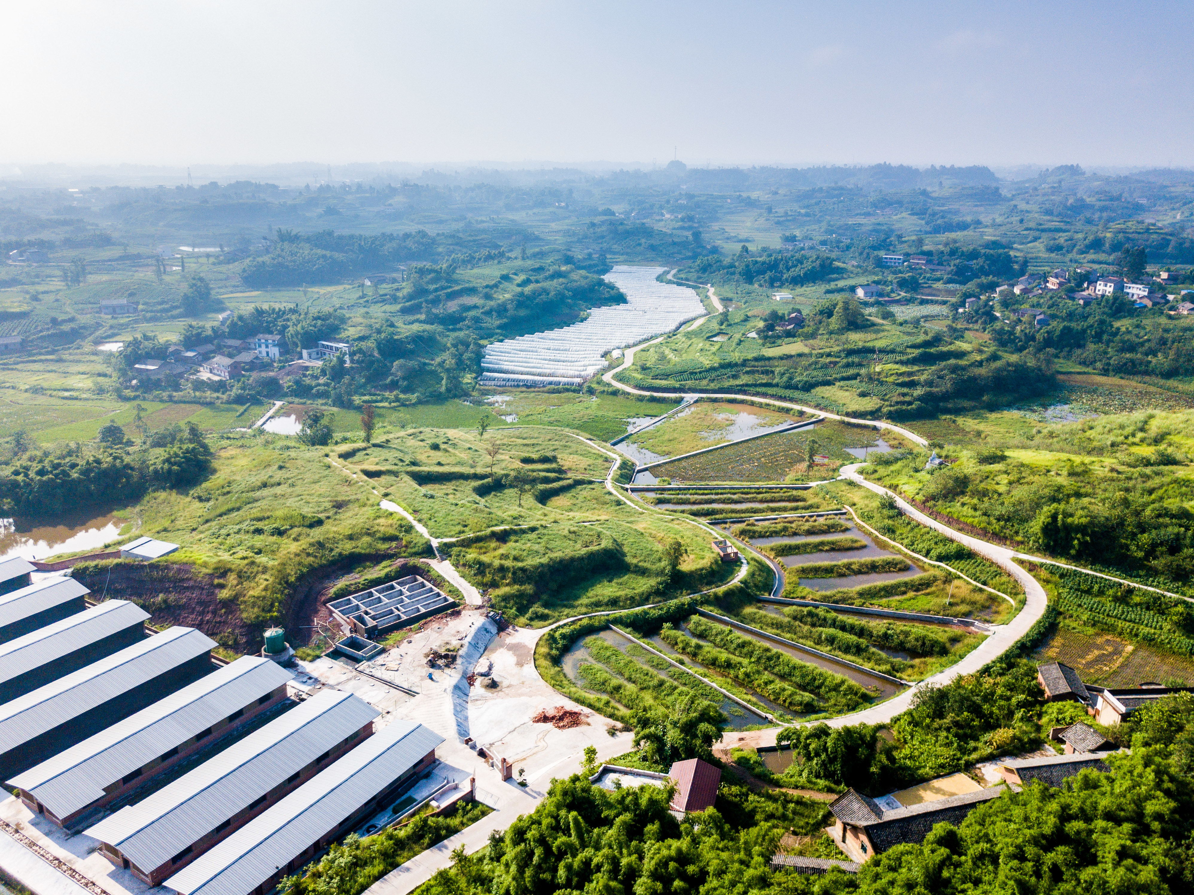 自贡市沿滩区黄市镇奋力建设成渝地区乡村振兴先进"标杆"