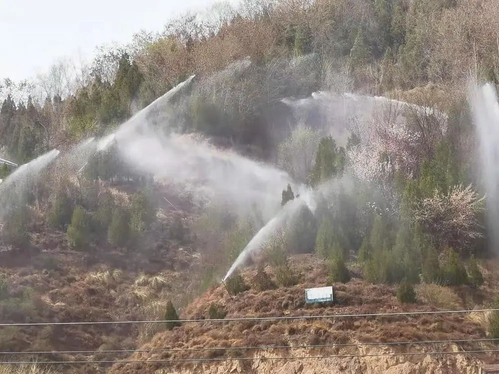 蘭州南北兩山林木盼來