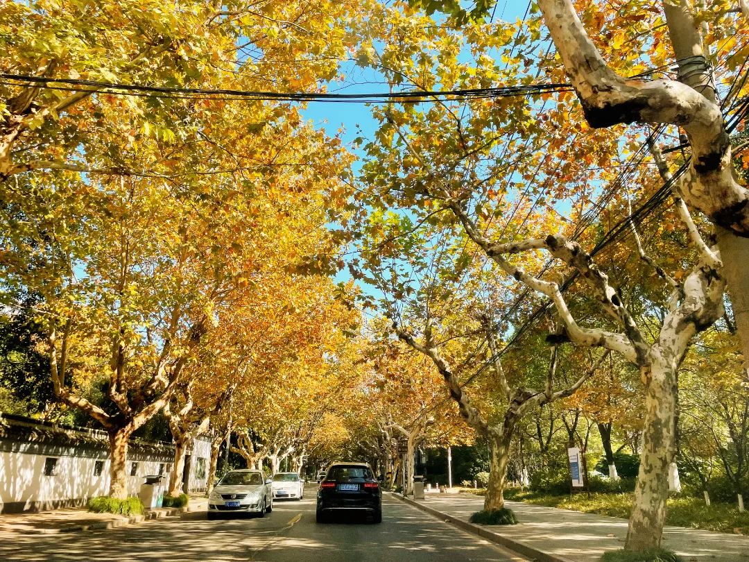 最高气温降幅达14～16℃?国庆期间太仓天气