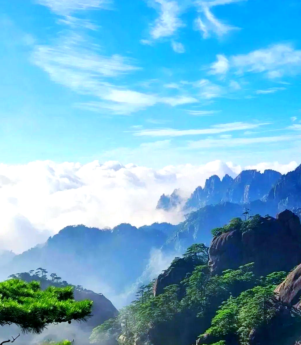 国内适合老年人旅游的十大景点(国内适合老年人旅游的十大景点有哪些)
